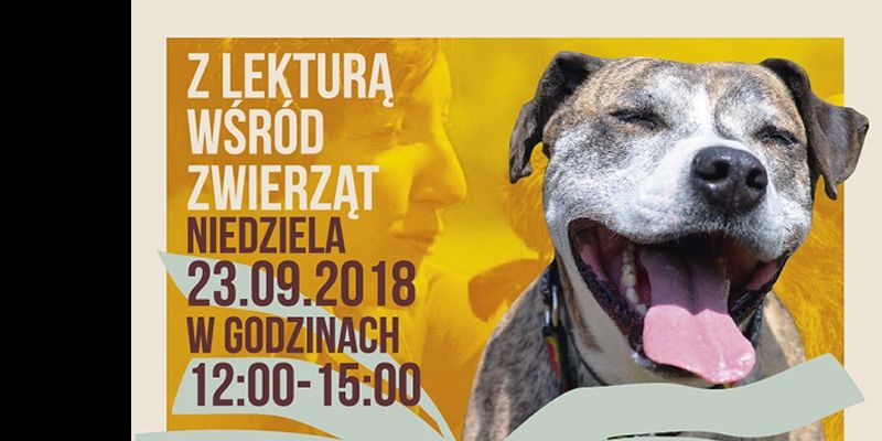 Aktywny weekend w gdańskim schronisku dla zwierząt Promyk