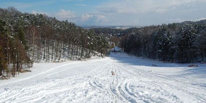 Czy w Gdańsku powstanie całoroczny stok narciarski?