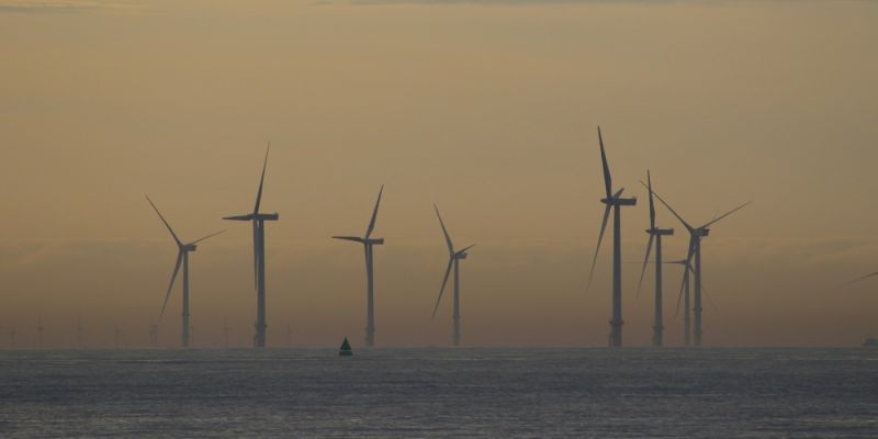 W Gdyni nauczysz się budować farmy wiatrowe