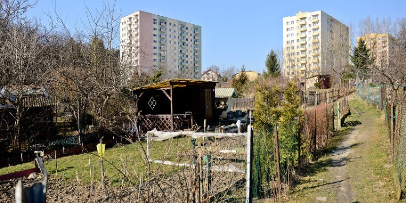 Dofinansowanie dla ogrodów działkowych w Trójmieście i okolicach