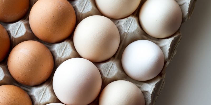 Kupując jaja wybieraj świadomie –  startuje edukacyjna kampania konsumencka w sklepach E.Leclerc  w Polsce