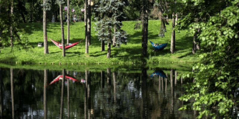 Ruszają spacery w koronach miasta