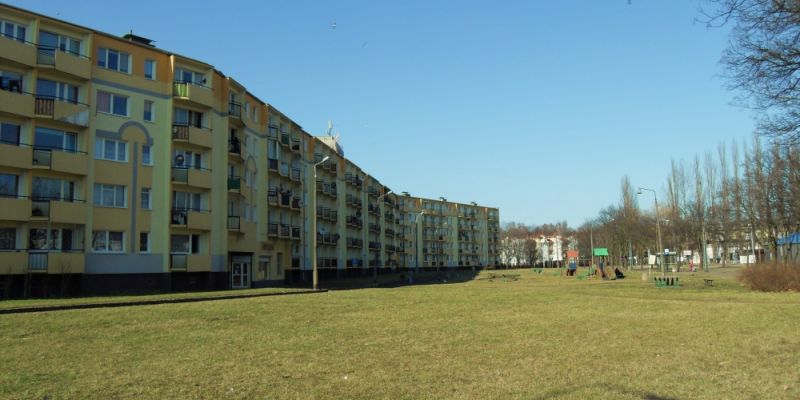 Mała retencja na Stogach – rośliny pomogą w odwodnieniu podwórek