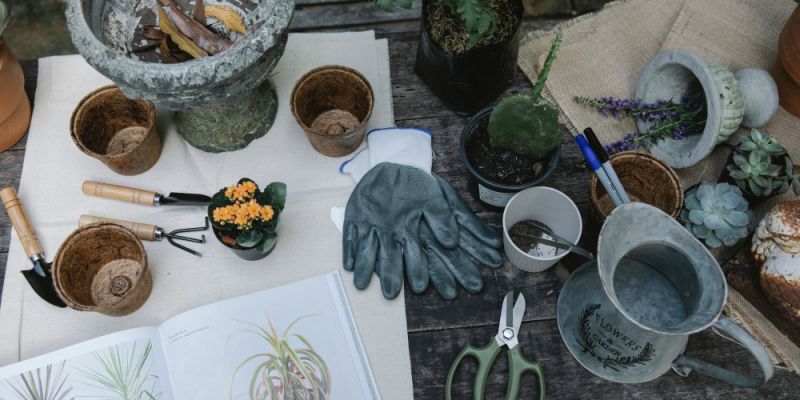 Bezpłatny piknik w Gdańsku. Będą warsztaty, konkursy i zbiórka dla zwierząt