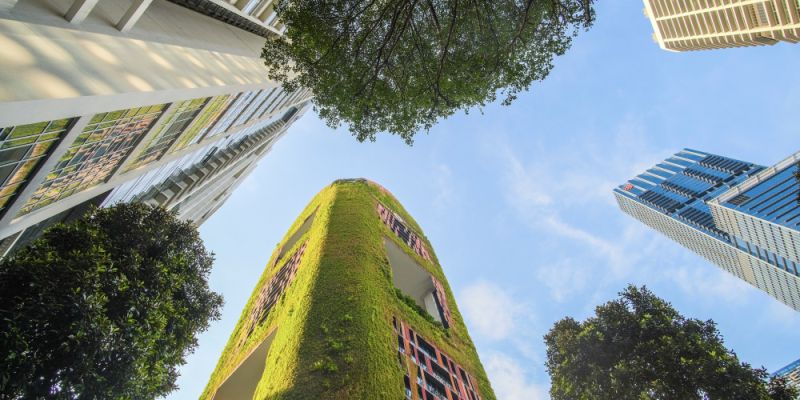 Trójmiejskie przestrzenie nominowane do Urban Innovator 2026
