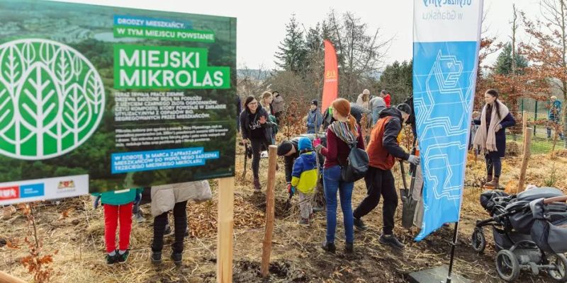Inwestycje w „Zielone Miasto”. Gdańsk otrzymał dofinansowanie na ochronę przyrody