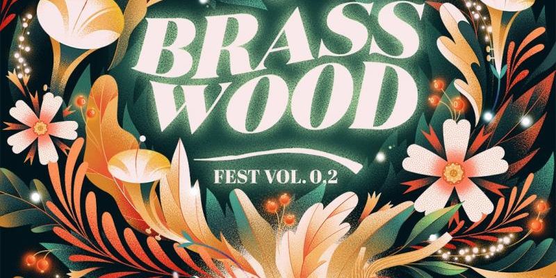 Brasswood Fest vol. 0.2. Warsztaty muzyczne, parada, rowerowy freeride i noc z muzyką