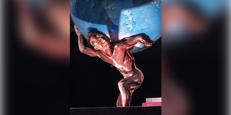 „Body Worlds” wraca do Warszawy. Niezwykła wystawa o ludzkim ciele już na Pradze-Południe