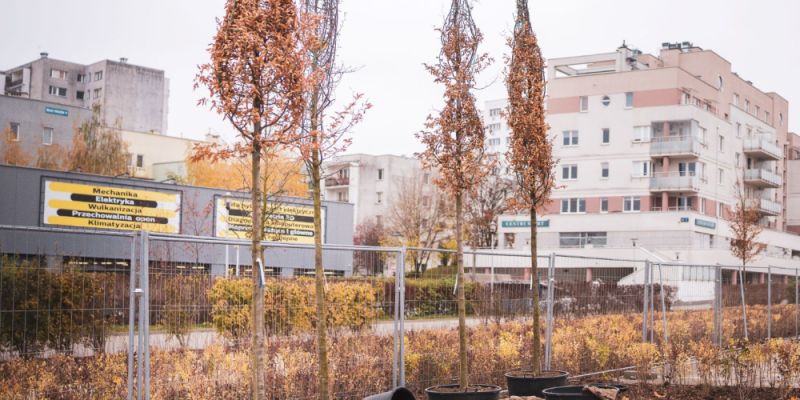 Co słychać na budowie parku nad obwodnicą na Ursynowie?