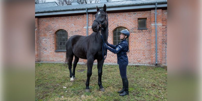 Moradez i Resko w służbie Policji