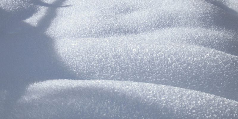 Zimowy tydzień w Warszawie: opady, mgły i spadki temperatur