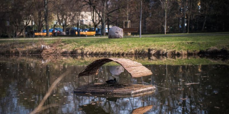 Bezpieczne przystanie na akwenach: Rozpoczął się sezon na pływające tratwy dla ptactwa wodnego