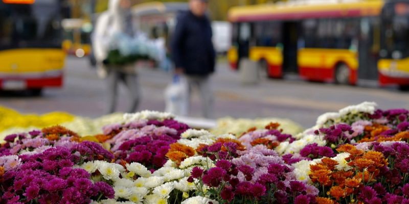 Pierwsze linie cmentarne wyjadą już w ten weekend