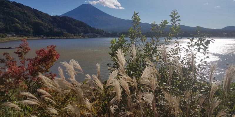 Aga Koszel, Ania Smółko i Maciej Sas "Japonia"