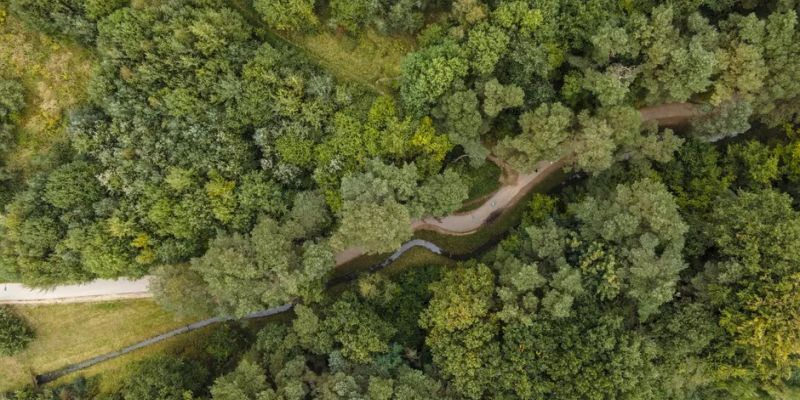 Park Południowy w Gdańsku coraz bliżej. Jest umowa na projekt
