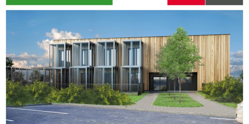 Gdańsk inwestuje w dobro kotów. Powstanie nowoczesny Dom Gdańskiego Kota