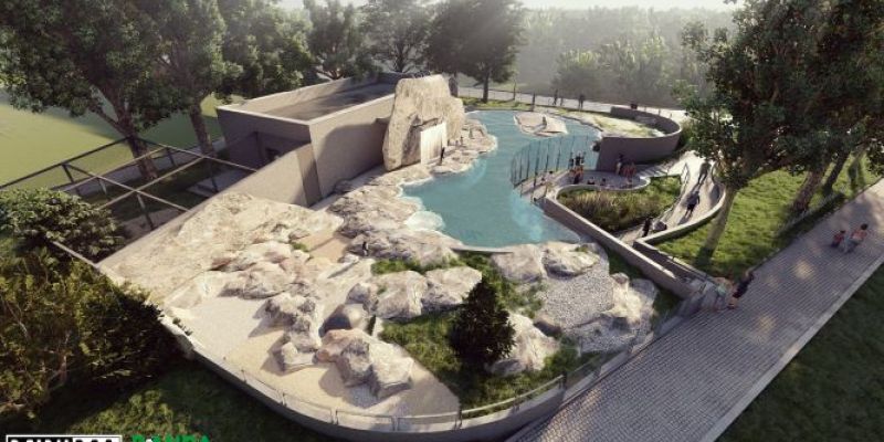 W warszawskim ZOO powstanie nowy pawilon dla pingwinów