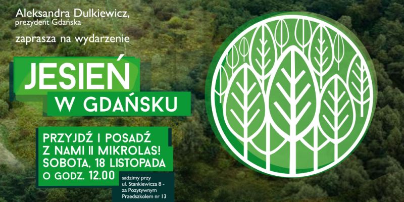 Mieszkańcy Gdańska tworzą zieloną oazę. Drugi miejski mikrolas powstanie na Jasieniu