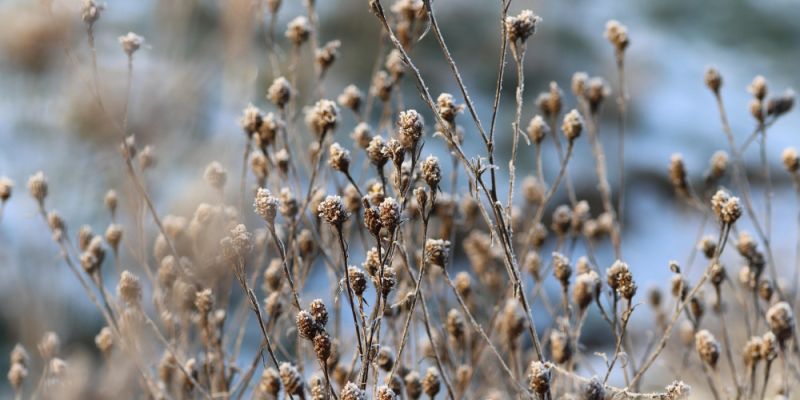 Warszawa przygotowuje się na kolejną falę mrozów