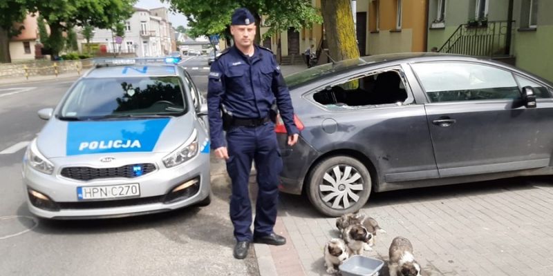Policjanci uratowali zamknięte w aucie szczeniaki