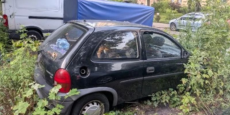 Kaczki uratowane z rozgrzanego samochodu