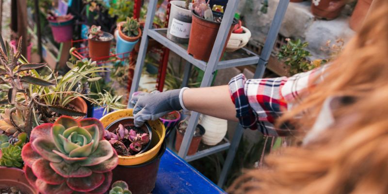 Festiwal Roślin wraca do Warszawy. Tysiące kwiatów i wstęp za darmo