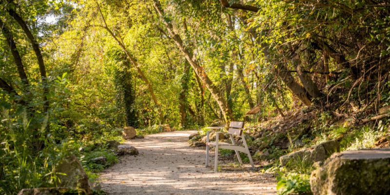 Warszawski park najlepszą przestrzenią publiczną Europy