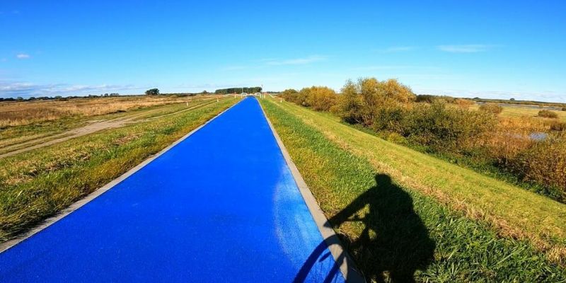 Niebieska droga rowerowa w Gdańsku