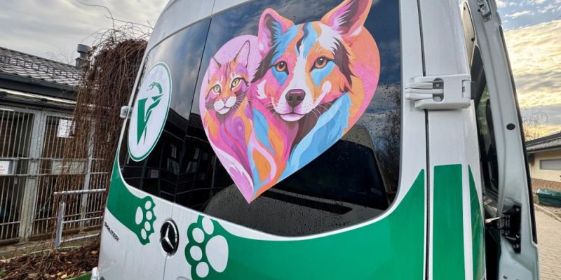 Pierwsza w Polsce specjalistyczna karetka weterynaryjna ruszyła w Warszawie