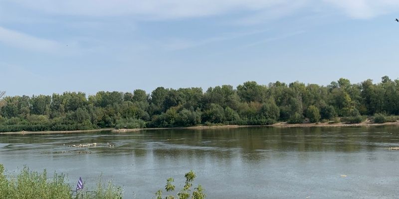 [ŚRODOWISKO] Finałowe sprzątanie brzegów Wisły już w ten weekend