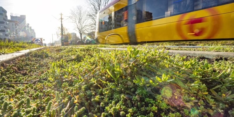 Śmierć 6-latka na Grochowskiej wstrząsnęła Warszawą. W tle planowany remont i zmiany drogowe