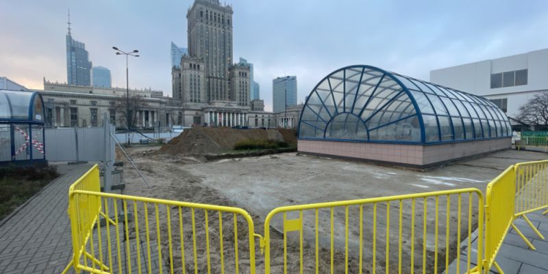 W centrum stolicy powstanie łąka kwietna