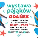 Wystawa pająków w Galerii Przymorze