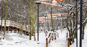 Gdynia: mieszkańcy współtworzą przyszłość Parku Leśnego na Oksywiu