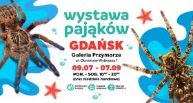 Wystawa pająków w Galerii Przymorze